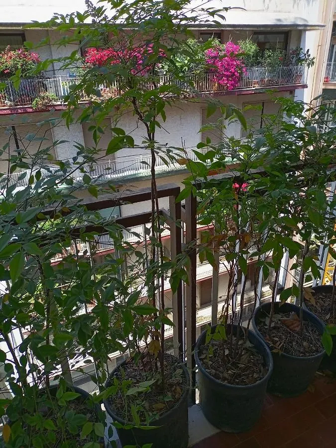 Gianna House Apartment Bari Italy